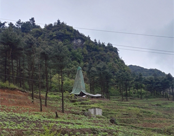 把脈“黔”鋅地，問診開良方