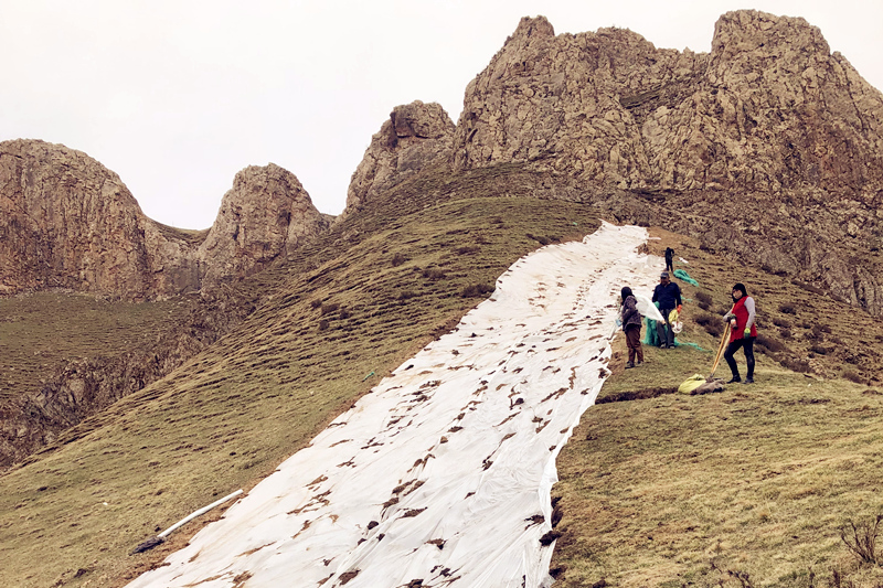 瑪溫根礦區(qū)探槽植被恢復(fù)工作圓滿(mǎn)完成